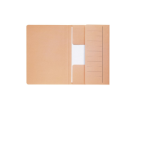 Jalema Secolor Mammoth Document Folder Chamois